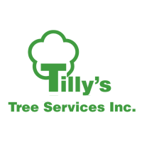 Tilly's Tree Services Firewood Regina